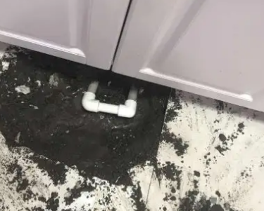 平桂查漏水哪家好